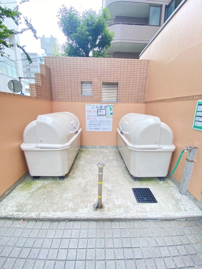 庭