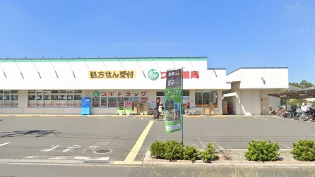 ドラックストア　スギ薬局 西東京北原町店（ドラッグストア）まで780m