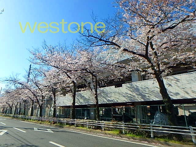 眺望　春にはバルコニーから綺麗に桜が見れます
