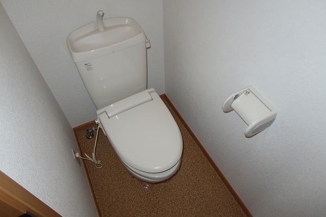 トイレ　トイレも気になるポイント