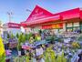 ホームセンター　ユニディ曽谷店（ホームセンター）まで1088m