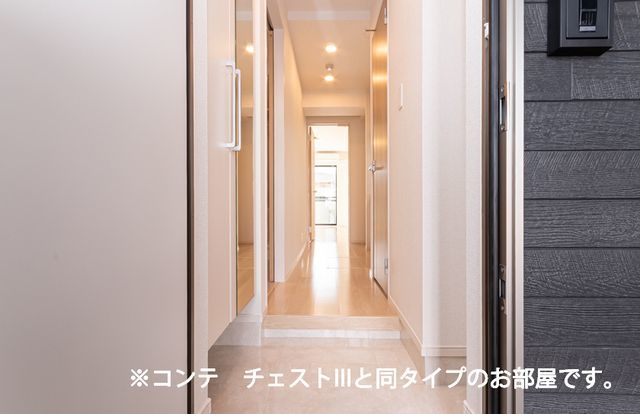 玄関　同施工参考写真になります。