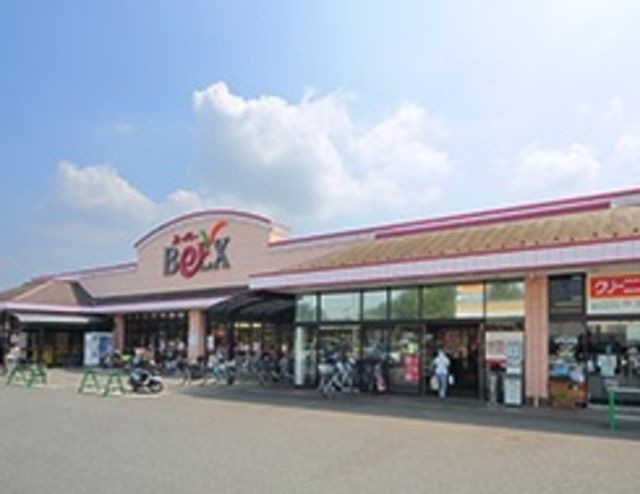 スーパー　ベルクス岩槻城北店（スーパー）まで735m