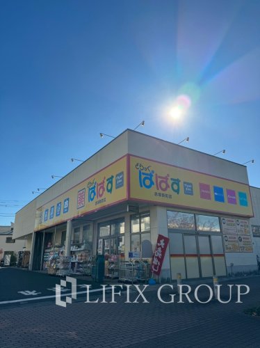 ドラックストア　どらっぐぱぱす赤塚新町店（ドラッグストア）まで407m