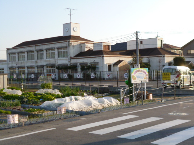 幼稚園・保育園　大宝西幼稚園（幼稚園・保育園）まで900m