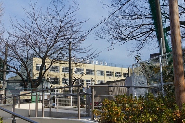 小学校　中野区立桃園小学校（小学校）まで322m