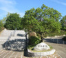 公園　新栄緑地（公園）まで705m