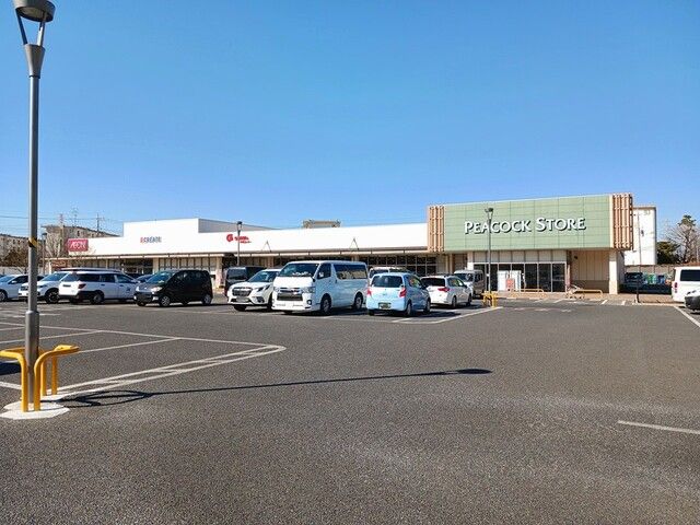 ドラックストア　クリエイトSD柏豊四季台店（ドラッグストア）まで748m