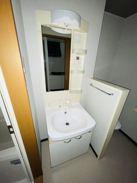 洗面設備　写真は違う号室です。