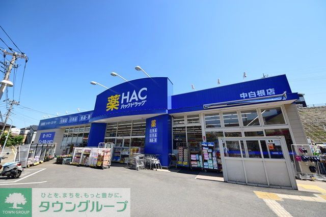 ドラックストア　ハックドラッグ中白根店（ドラッグストア）まで1380m