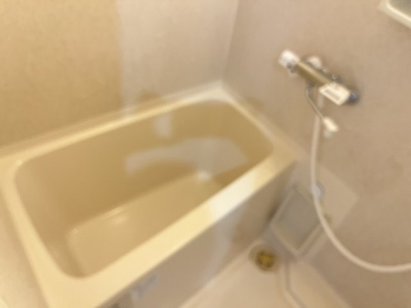 キャッスルプラザ壱番館の風呂写真
