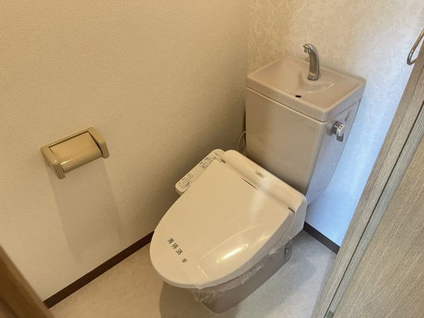 キャッスルプラザ壱番館のトイレ写真