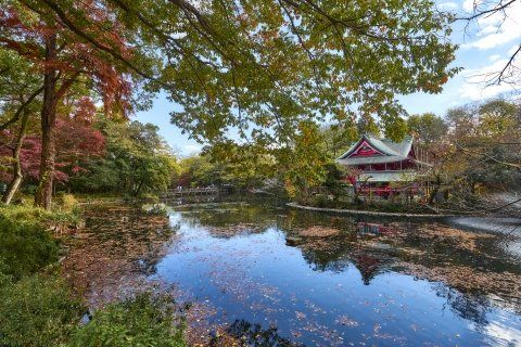 公園　井の頭恩賜公園の紅葉03（公園）まで2994m