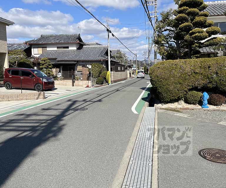 ミニヨンフィオーレのその他写真