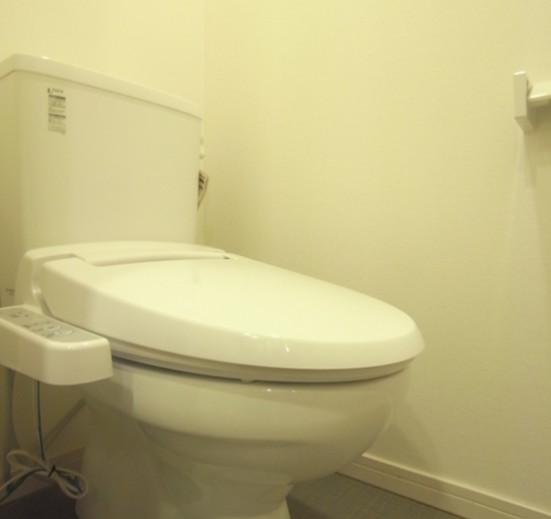 リブリ・自由が丘IIのトイレ写真