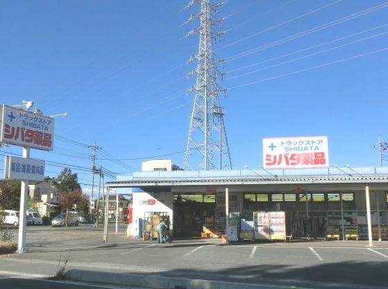 ドラックストア　シバタ薬品東松山店（ドラッグストア）まで570m