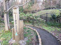 【パークアクシス成増二丁目の公園】