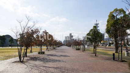 【ハイカムール泉都町　B棟の公園】