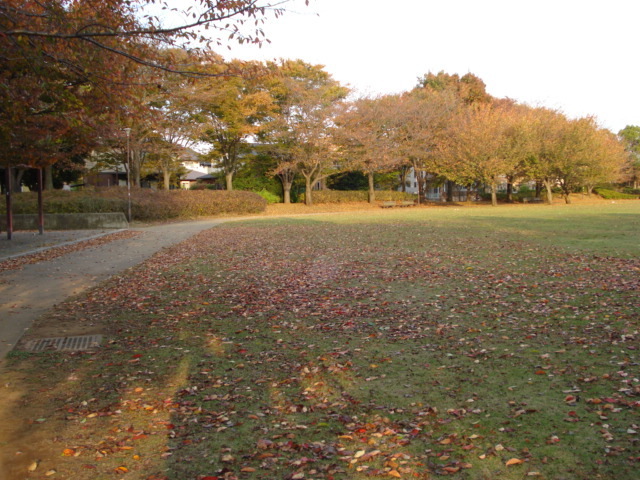 【ロトンヌＡの公園】