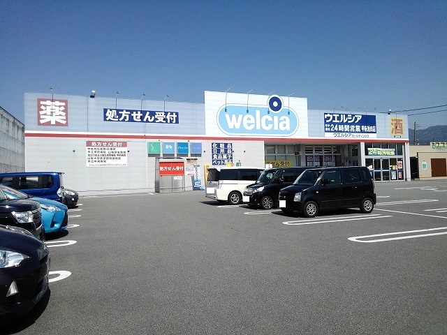 ドラックストア　ウエルシア甲府池田店（ドラッグストア）まで803m