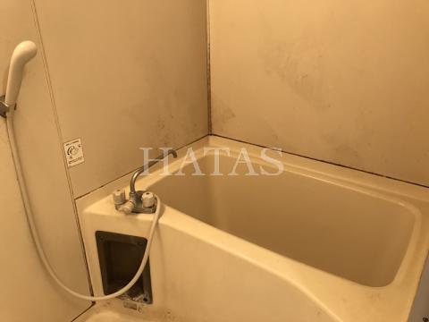 バス・シャワールーム　同物件別部屋です。