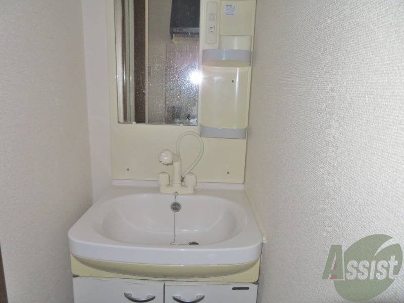 洗面設備　洗面台にシャワーが付いてますのでここで髪の毛のセット出来ます