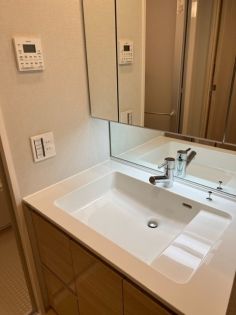 洗面設備　※別部屋の参考写真です。