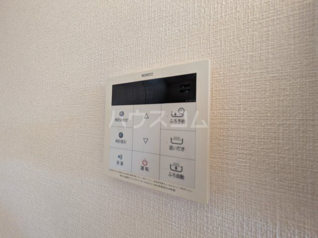 スプリングフェリス_その他_3