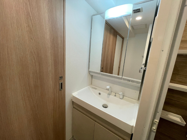 洗面設備　２０３号室の写真になります。
