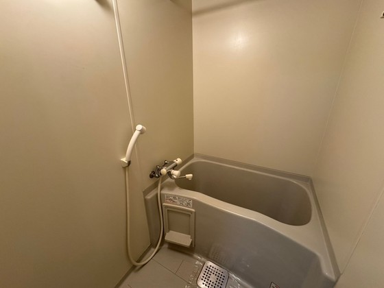 バス・シャワールーム　※別部屋の写真です