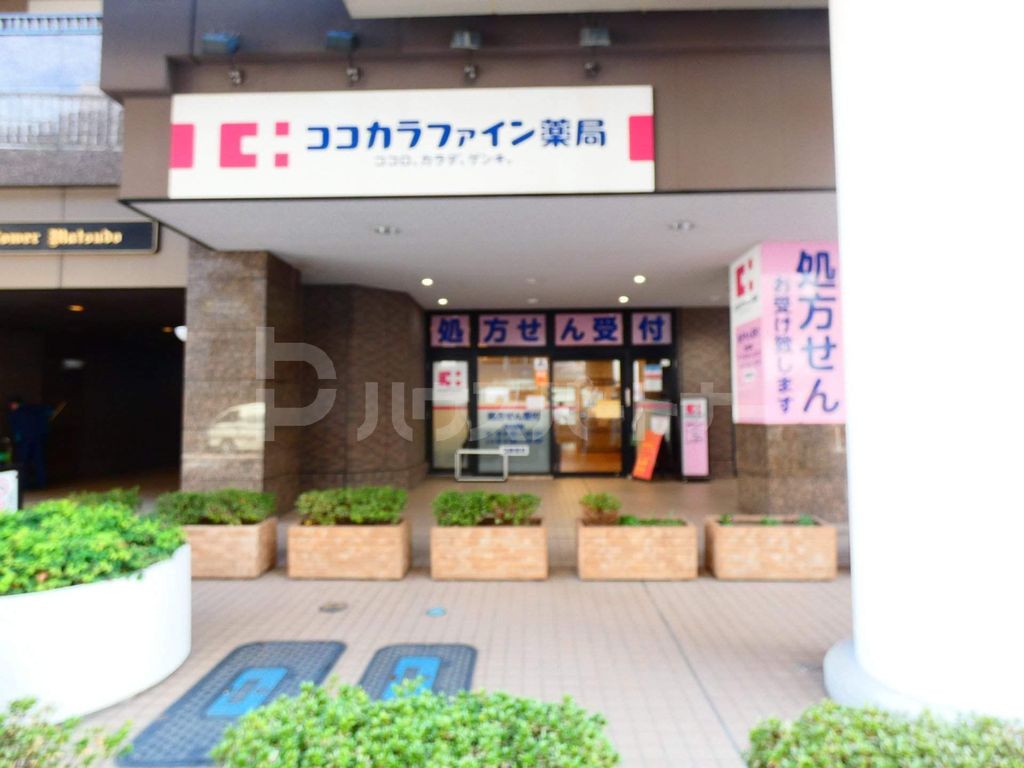 ドラックストア　ココカラファイン薬局　松戸店（ドラッグストア）まで600m