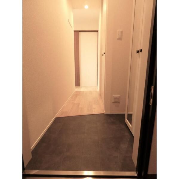 玄関　（別タイプ参考写真）ハイネセン巣鴨　豊島区巣鴨1