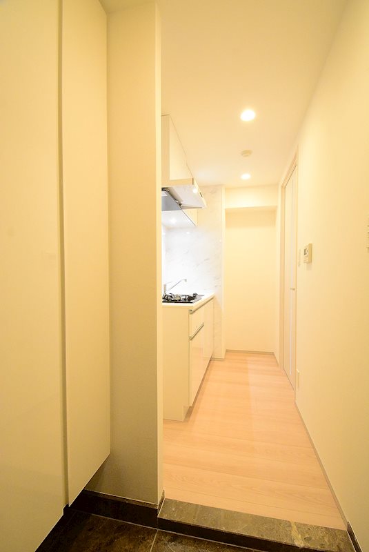 玄関　※カラータイプ異なります