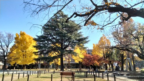公園　板橋区平和公園（公園）まで626m