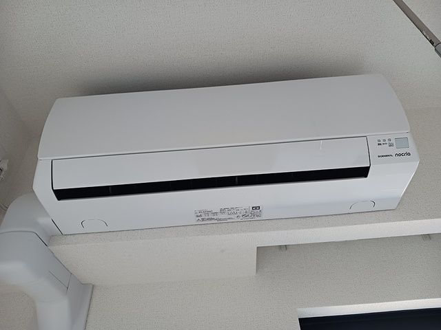 リッシュのその他写真