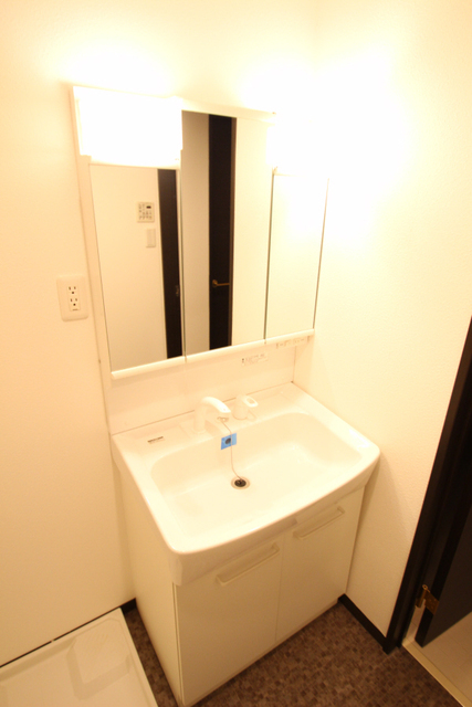 洗面設備　※他部屋の画像です