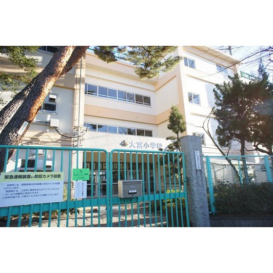 小学校　杉並区立大宮小学校（小学校）まで536m