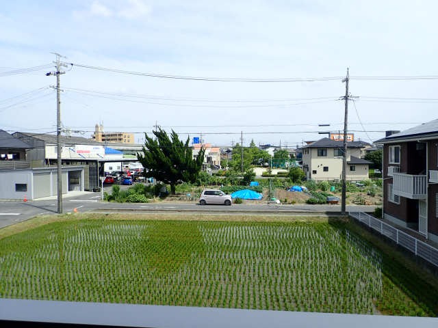 眺望