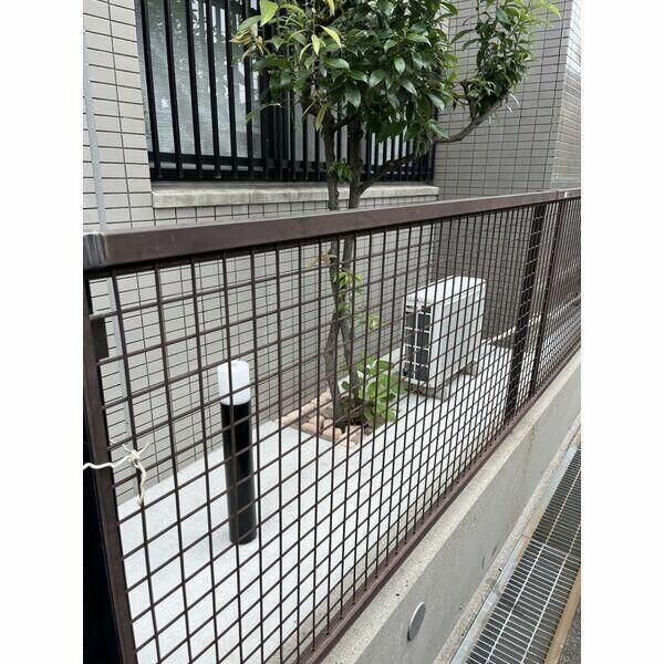庭