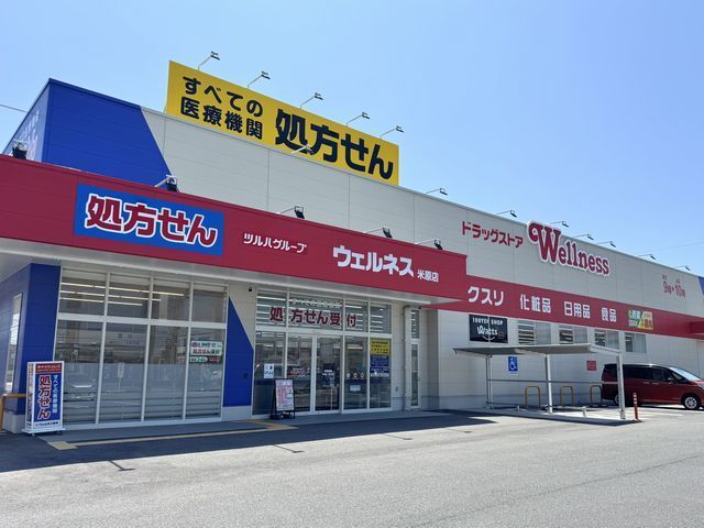 ドラックストア　ウェルネス米原店（ドラッグストア）まで700m