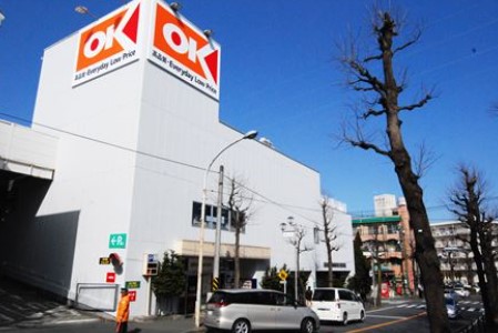 スーパー　OK(オーケー) 生田店（スーパー）まで1013m