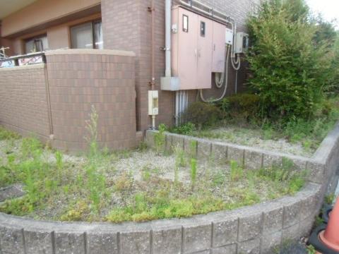 庭　中庭（イメージ）