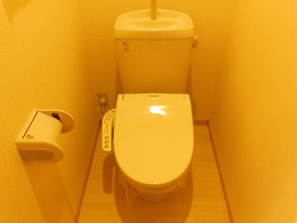 ＪＲ東海道本線 共和駅 徒歩15分 2階建 築22年のトイレ写真
