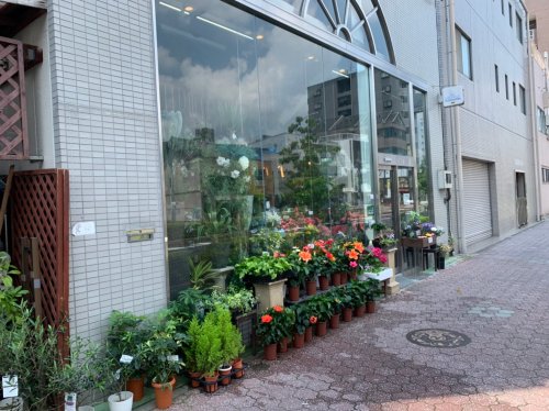 その他　花茂フローリスト（その他）まで1164m