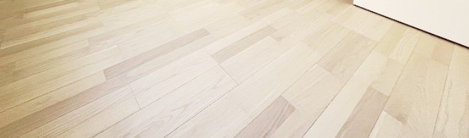 居室・リビング　Ｌ’Ａｌｌｕｒｅ　Ｎｉｓｈｉｋｏｙａｍａ