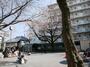 公園　江戸見坂公園（公園）まで538m