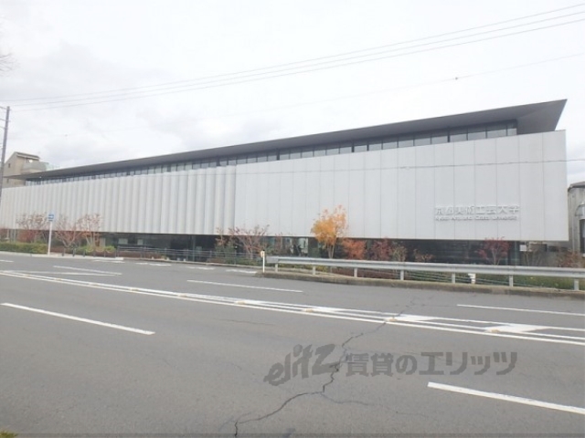 サンフェスタ東福寺Ａ棟の大学・短大