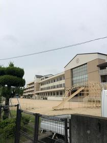 小学校