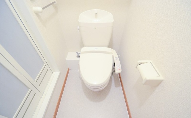 トイレ　同物件、別号室のものです。