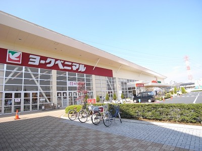 スーパー　ヨークベニマル戸祭店（スーパー）まで744m